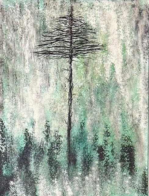 Titled The Tallest Tree I've Ever Seen